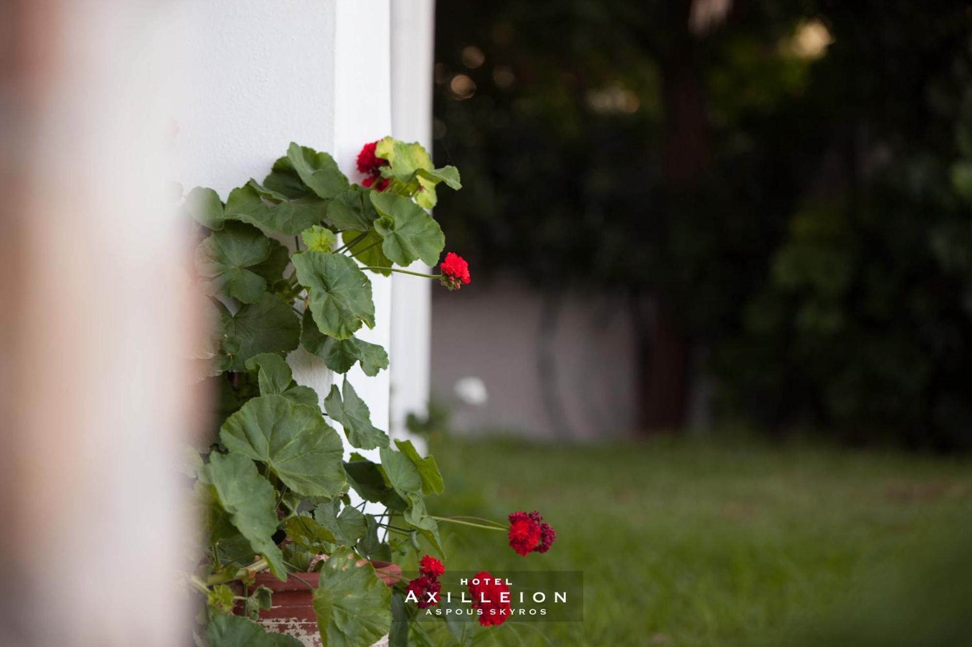 Achilleion Hotel Skyros Exterior photo